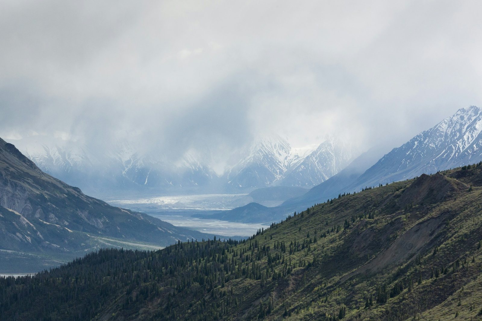 Snow-covered mountains and forest in Yukon