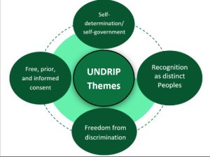B.C. Court of Appeal Affirms UNDRIP as Legally Binding, Calls Mineral Claims System Inconsistent