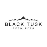 Black Tusk Resources Inc. (CSE:TUSK) logo