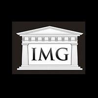 International Metals Group logo