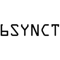 6SYNCT Consulting Inc logo