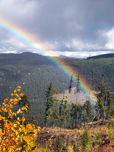 Rainbow Landscape